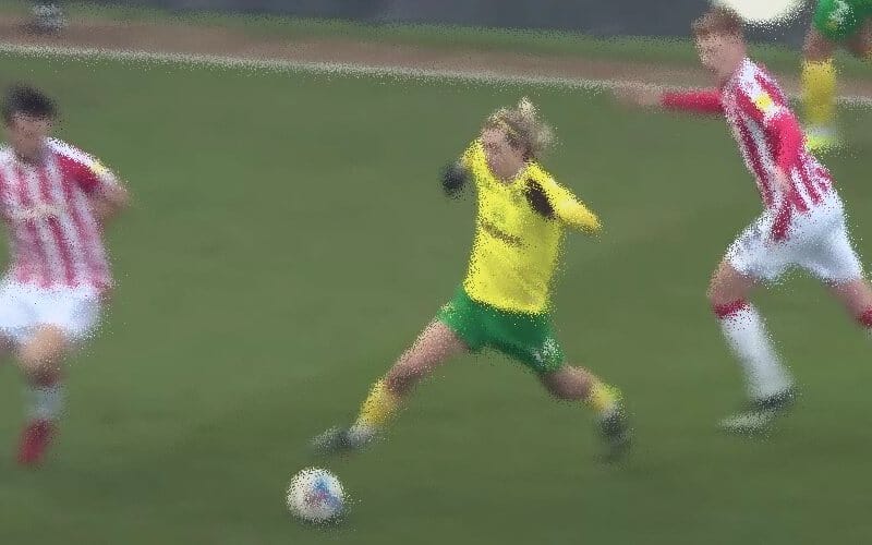 New Zealand - Belgium watch online for free